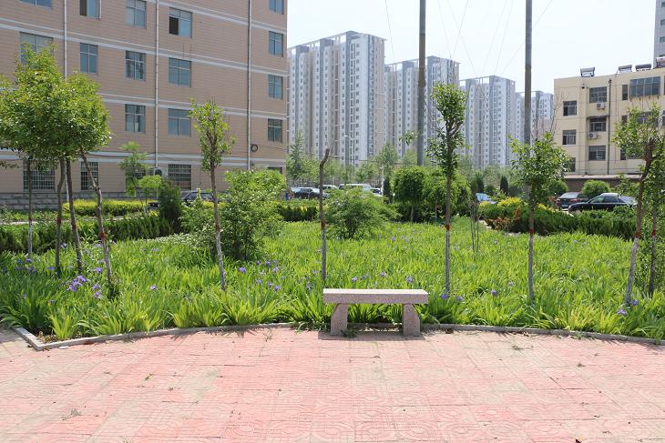 医院百草园